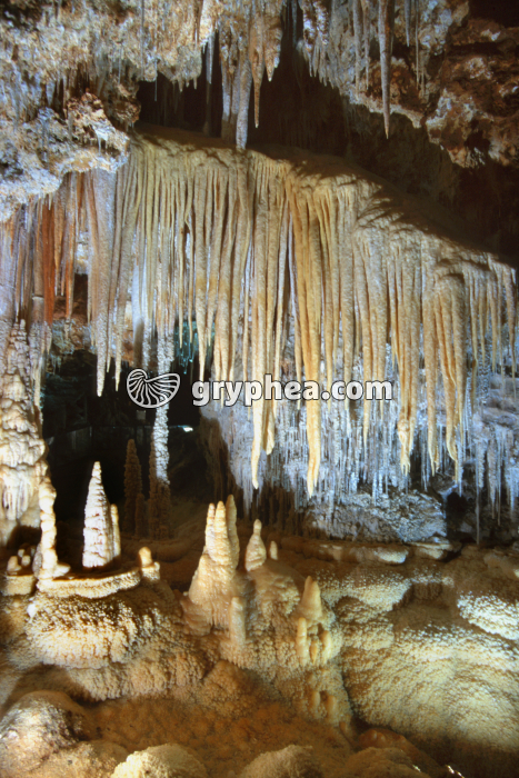 Stalactites et stalagmites - Grotte de Clamouse (Hérault) - gryphea.org